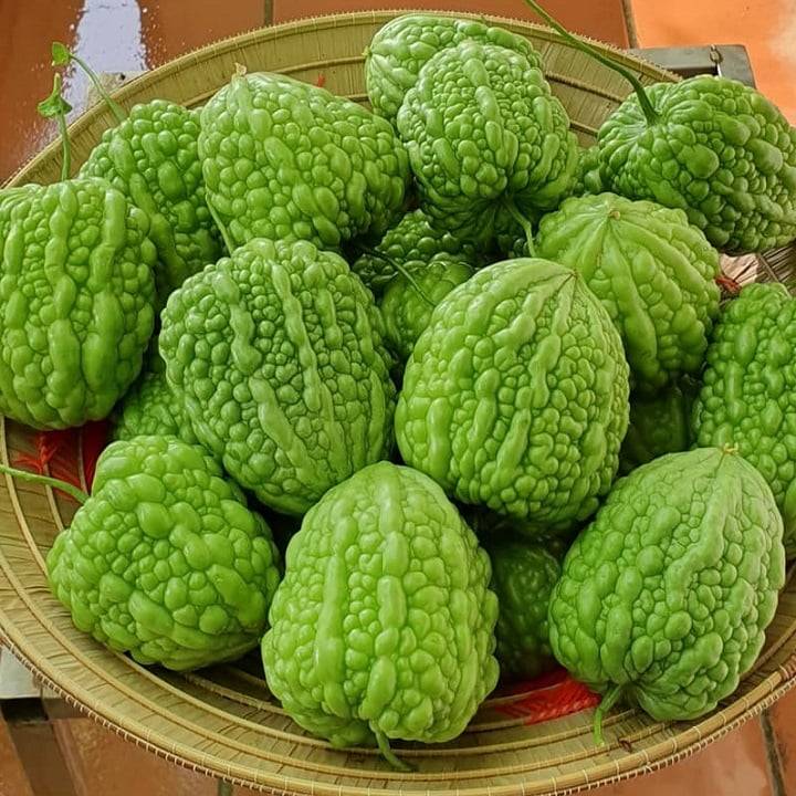 Khổ Qua Trái Tim Xanh