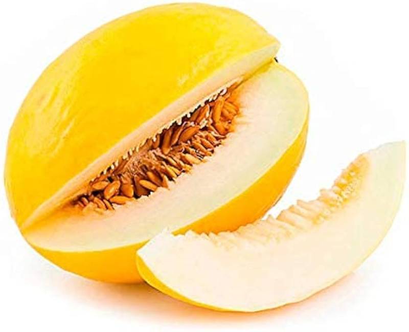 Dưa Lê [ Lion Seeds - Thái Lan ]