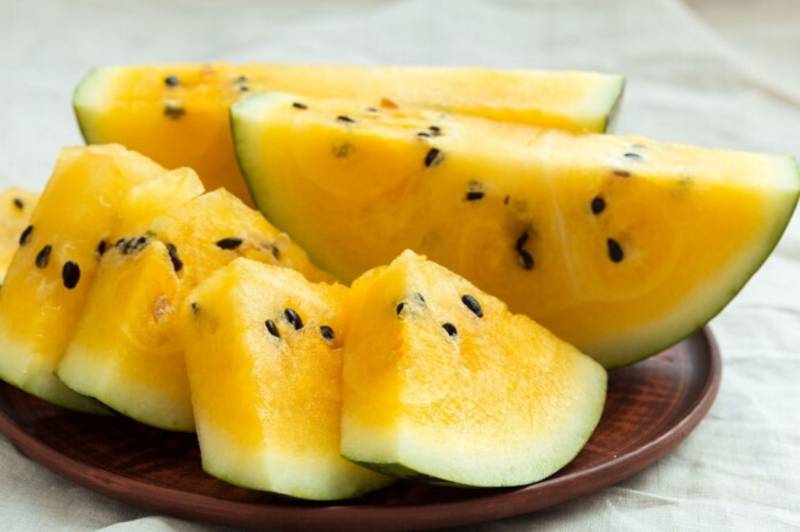 Dưa Hấu Ruột Vàng Lai F1 RADO 333