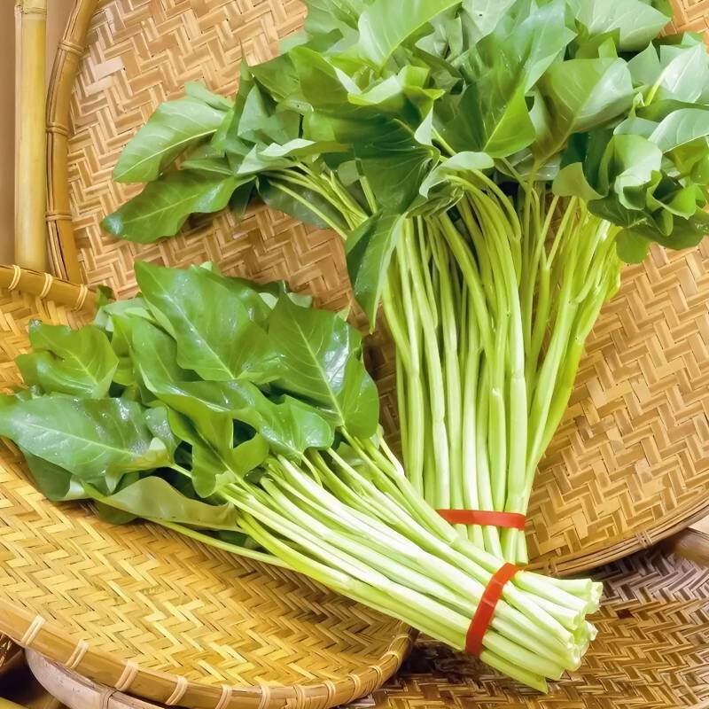 Rau Muống Thái Cọng Trắng