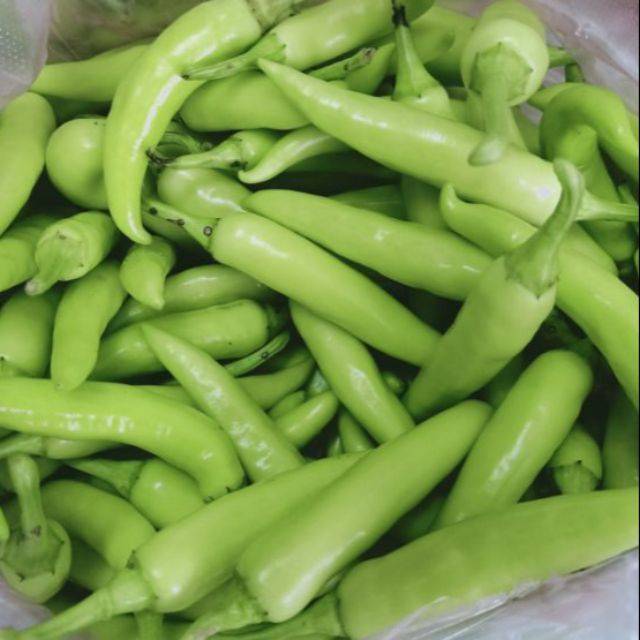Ớt Chỉ Địa Trái Xanh Miền Trung 01