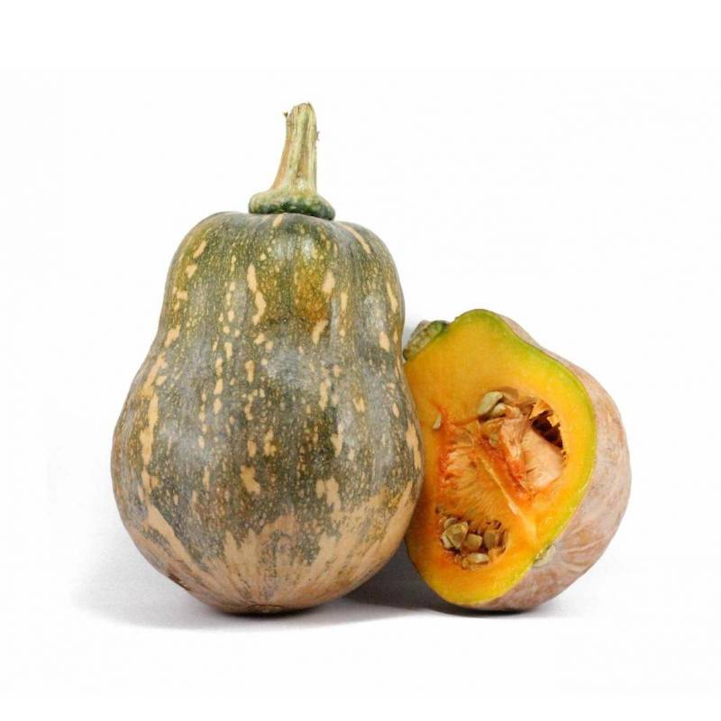 Bí Đỏ Hạt Đậu Lai F1 RD35