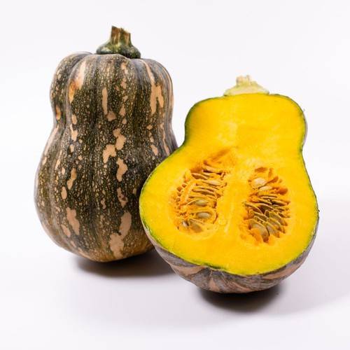 Bí Đỏ Hạt Đậu Lai F1 RD35