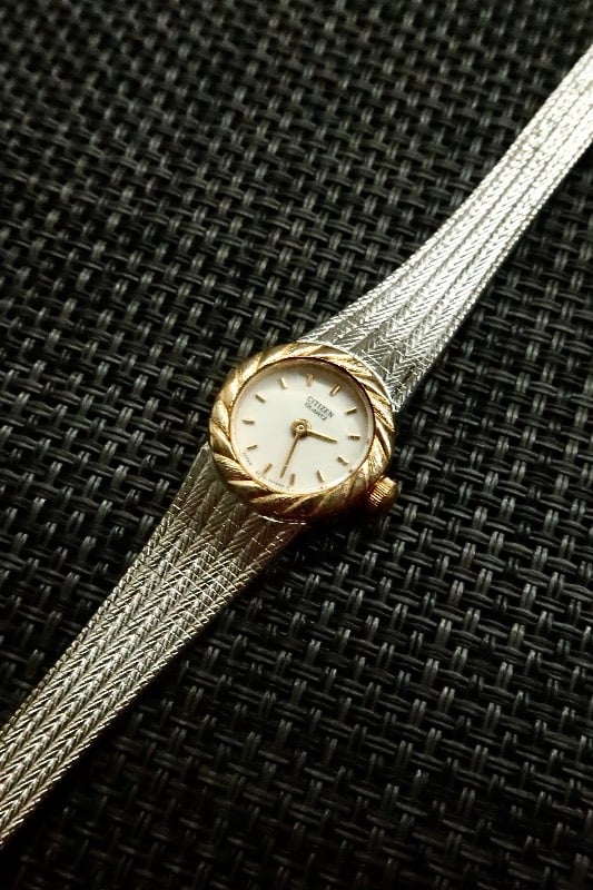 Citizen Dual Tone Woven Bracelet Quartz Watch
