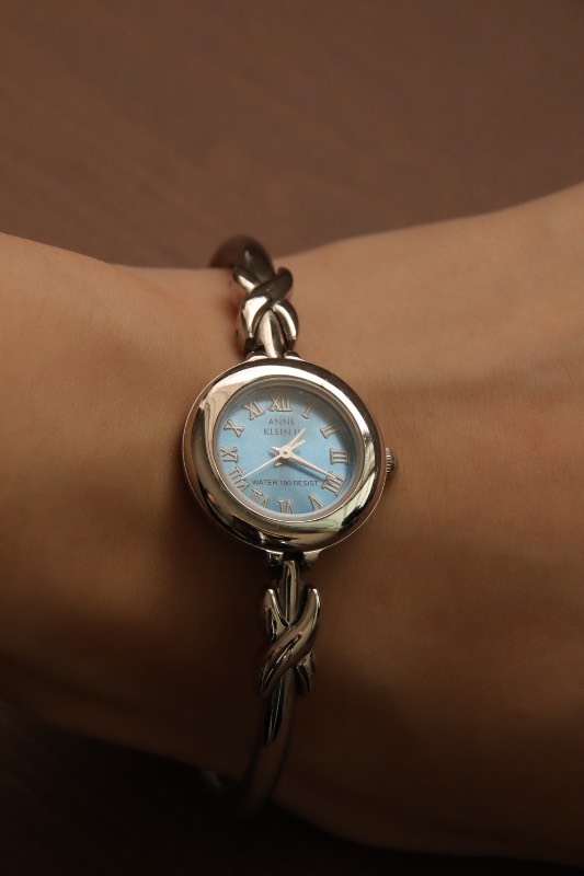 Anne Klein Blue Bangle Watch
