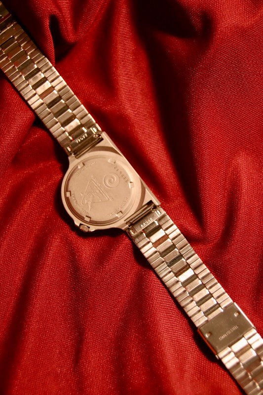 RARE Alba Flap Duck Water 100M Resist Quartz Vintage Watch