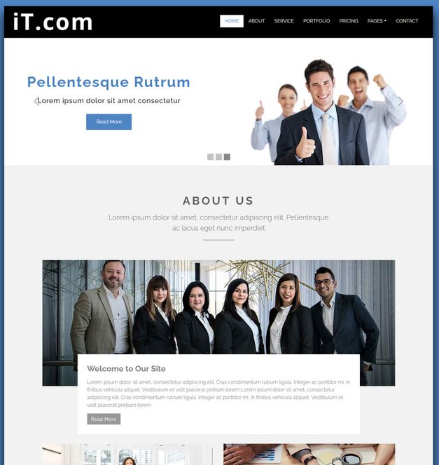 Business / Corporate Website