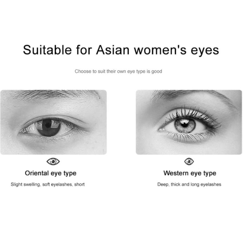 Eyelash Curler
