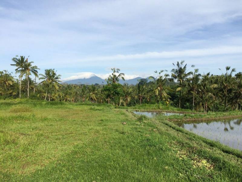 Dijual Tanah - Lokasi Ubud