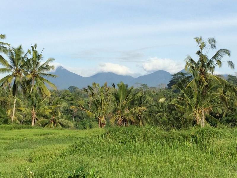 Dijual Tanah - Lokasi Ubud