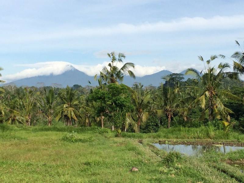 Dijual Tanah - Lokasi Ubud