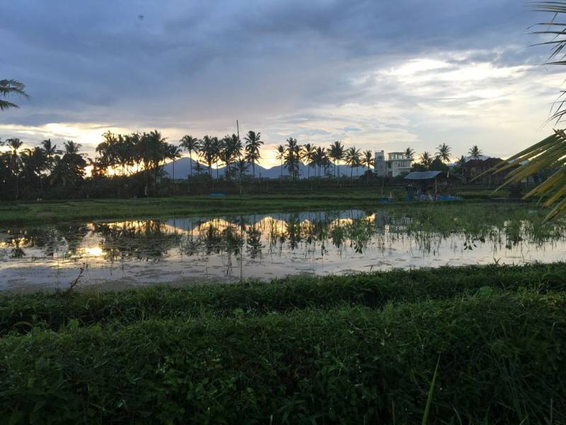 Dijual Tanah - Lokasi Ubud