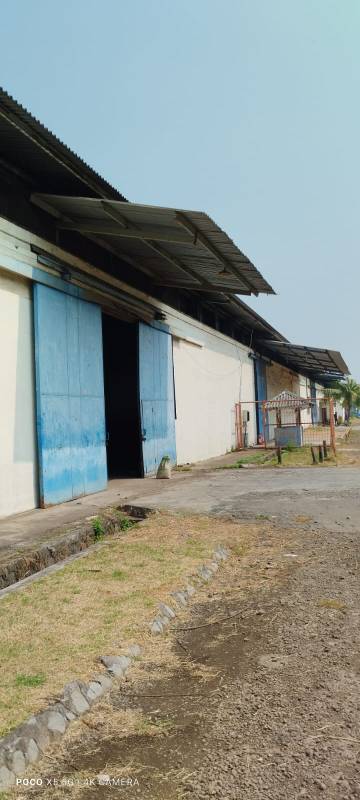 Disewa Gudang - Lokasi Daan Mogot