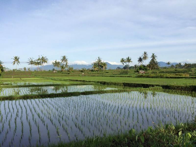 Dijual Tanah - Lokasi Ubud