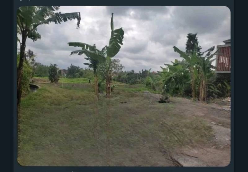 Dijual Tanah - Lokasi Bali