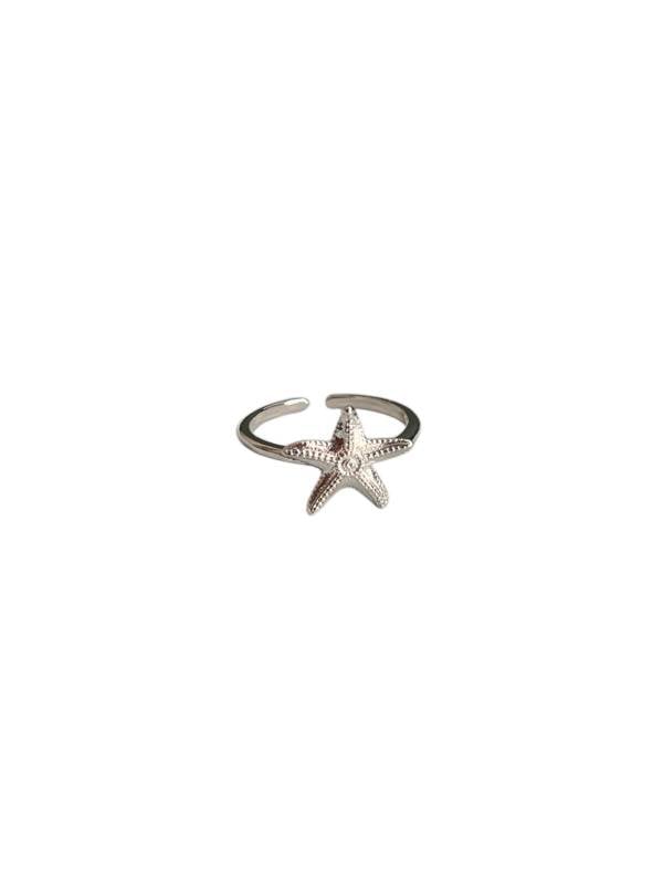 ESTRELLA PLATEADA