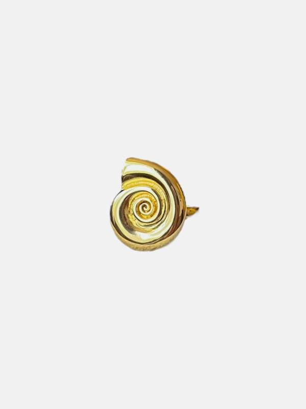 SNAIL