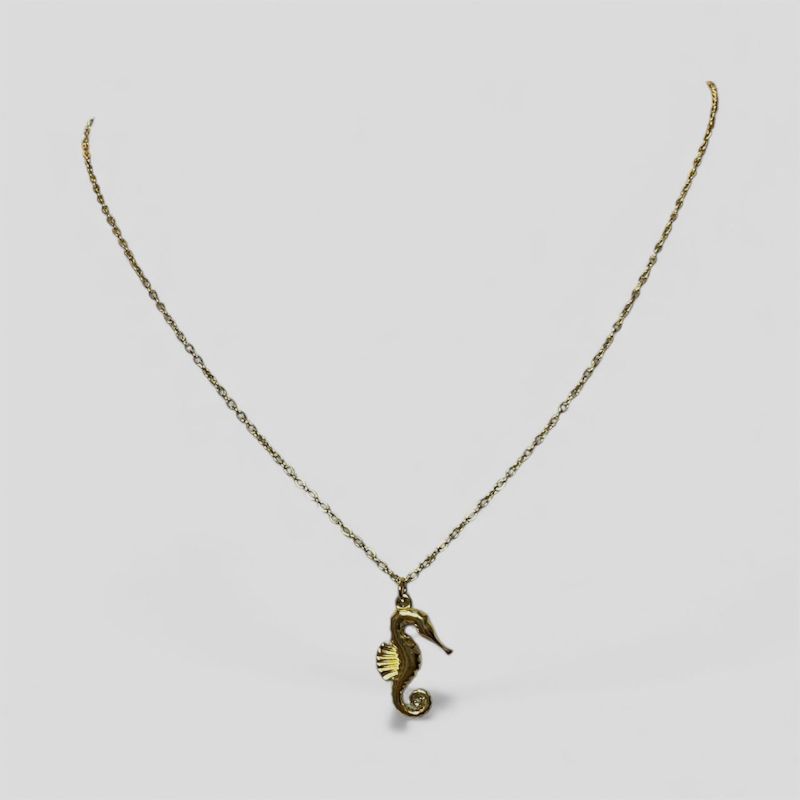 JUEGO DE CABALLOS DE MAR