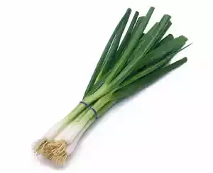 পিয়াজ পাতা