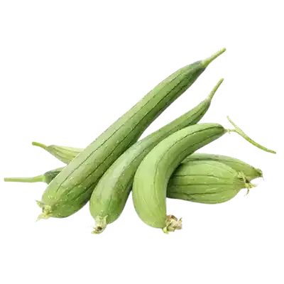 ধুনদুল