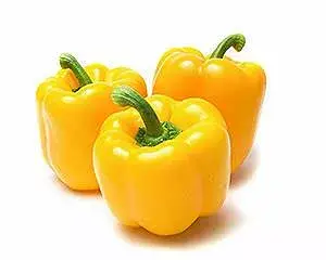হলুদ ক্যাপসিকাম