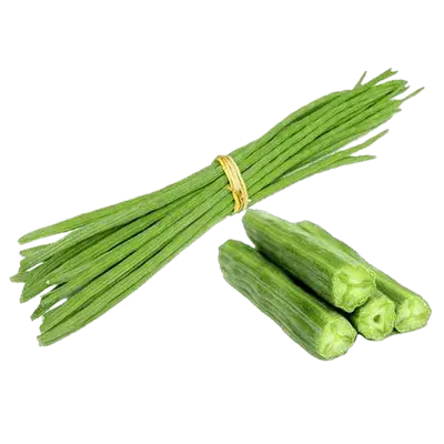 সজনে ডাটা