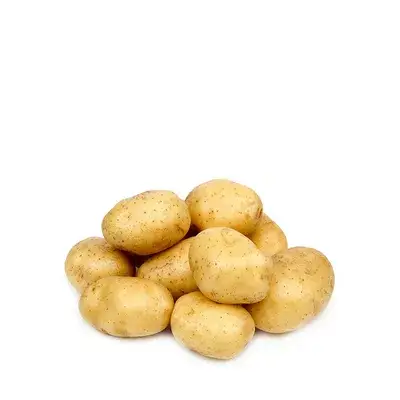 সাদা আলু