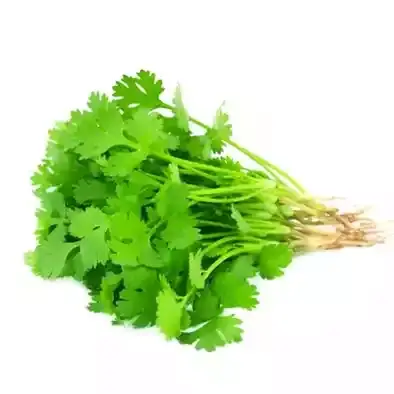 ধনিয়া পাতা