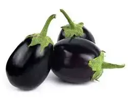 কালো গোল বেগুন