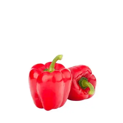 লাল ক্যাপসিকাম