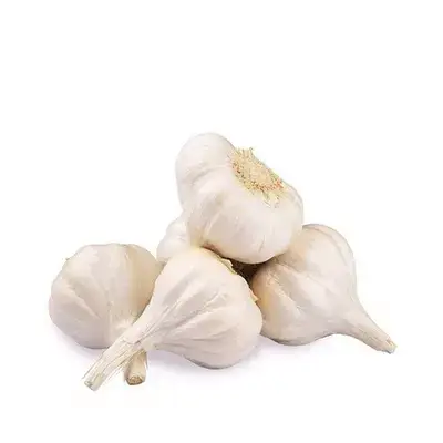রসুন