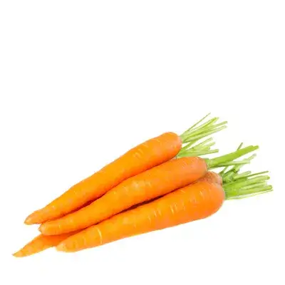গাজর