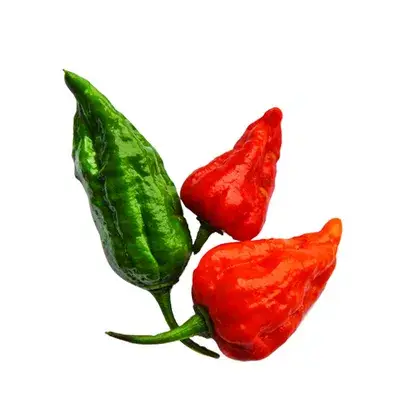 বোম্বাই মরিচ ৫পিচ
