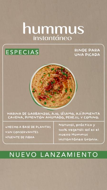 HUMMUS CON ESPECIAS  12 x 100 g