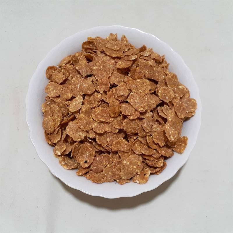 FIBRA TOTAL INTEGRAL x 3 kg