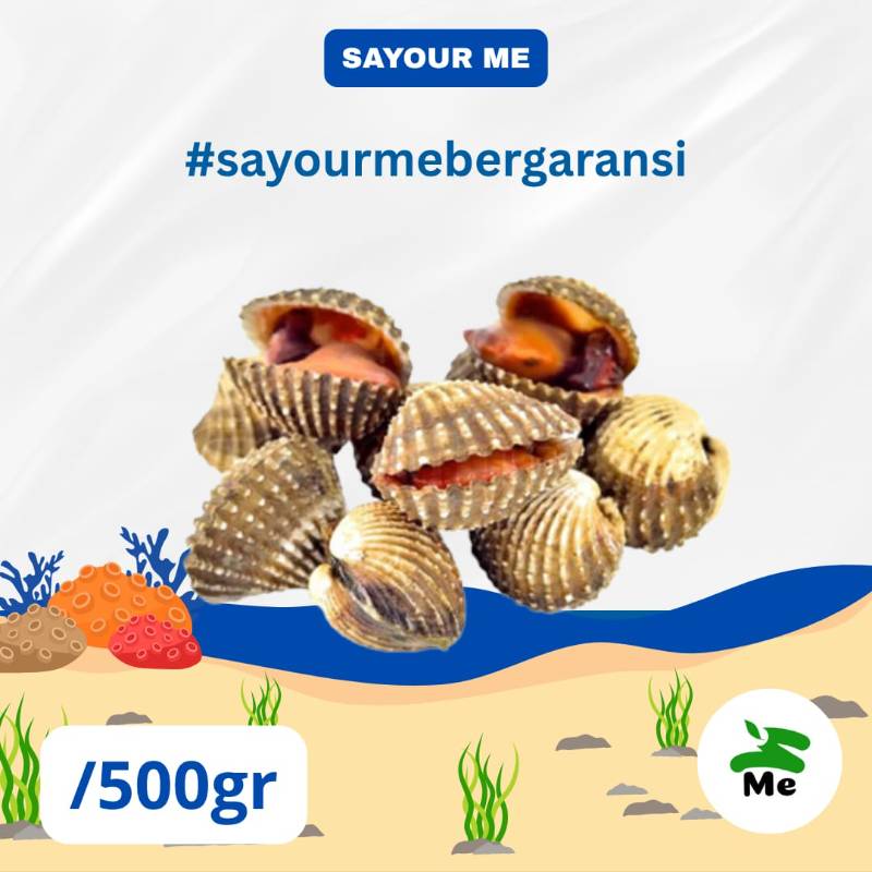 Kerang Dara [500gr]