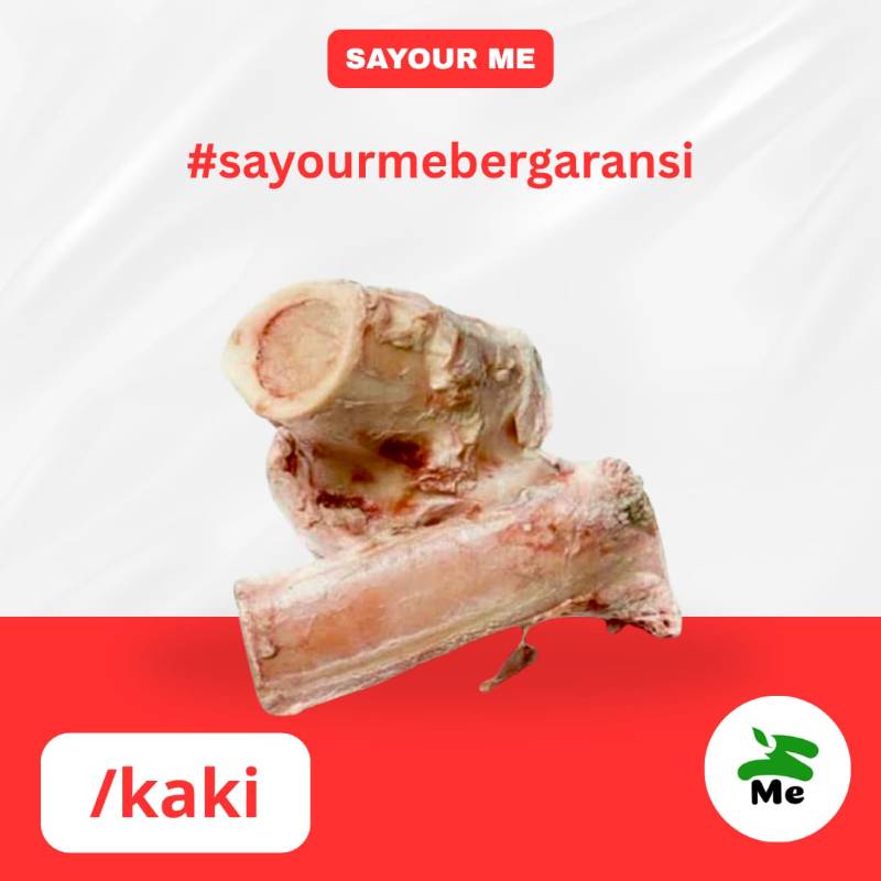 Sumsum Kaki Sapi [kaki]