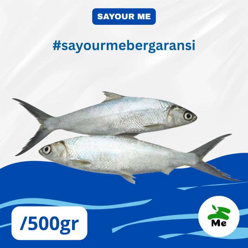 Ikan Bandeng [500gr]