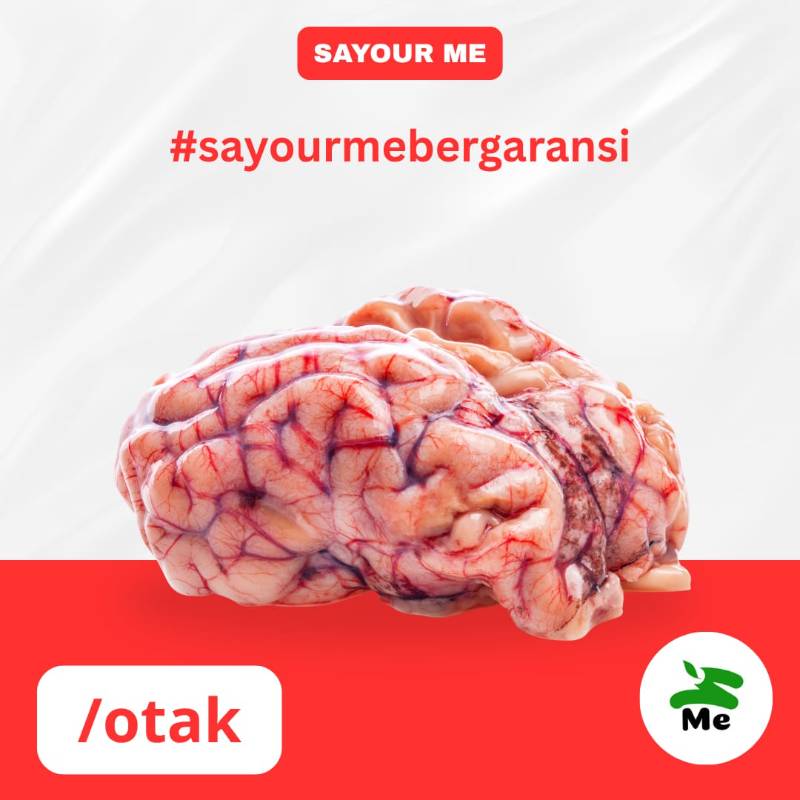 Otak Sapi [otak]