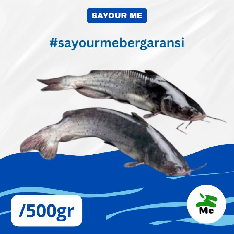 Ikan Baung Laut [500gr]