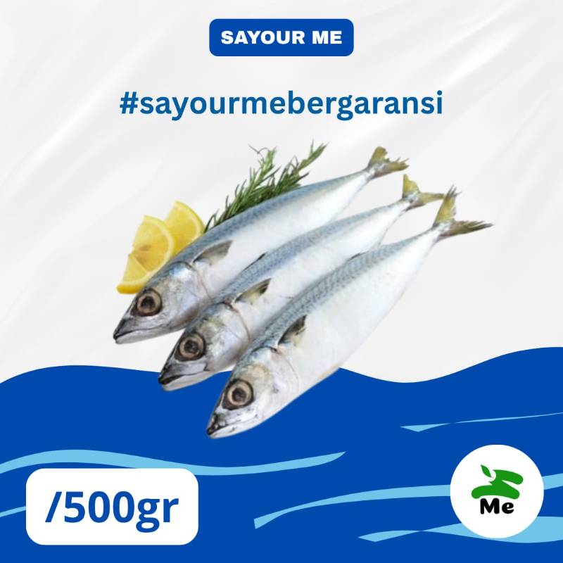 Ikan Salam [500gr]