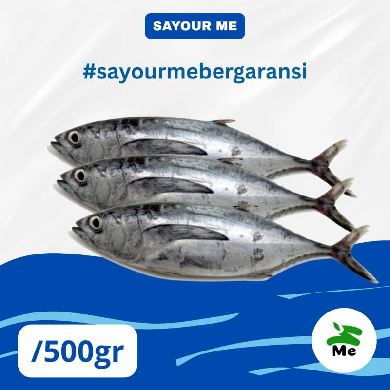 Ikan Tongkol [500gr]