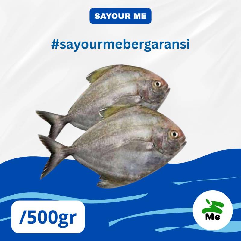 Ikan Bawal [500gr]