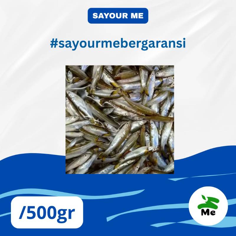 Ikan Seluang [500gr]