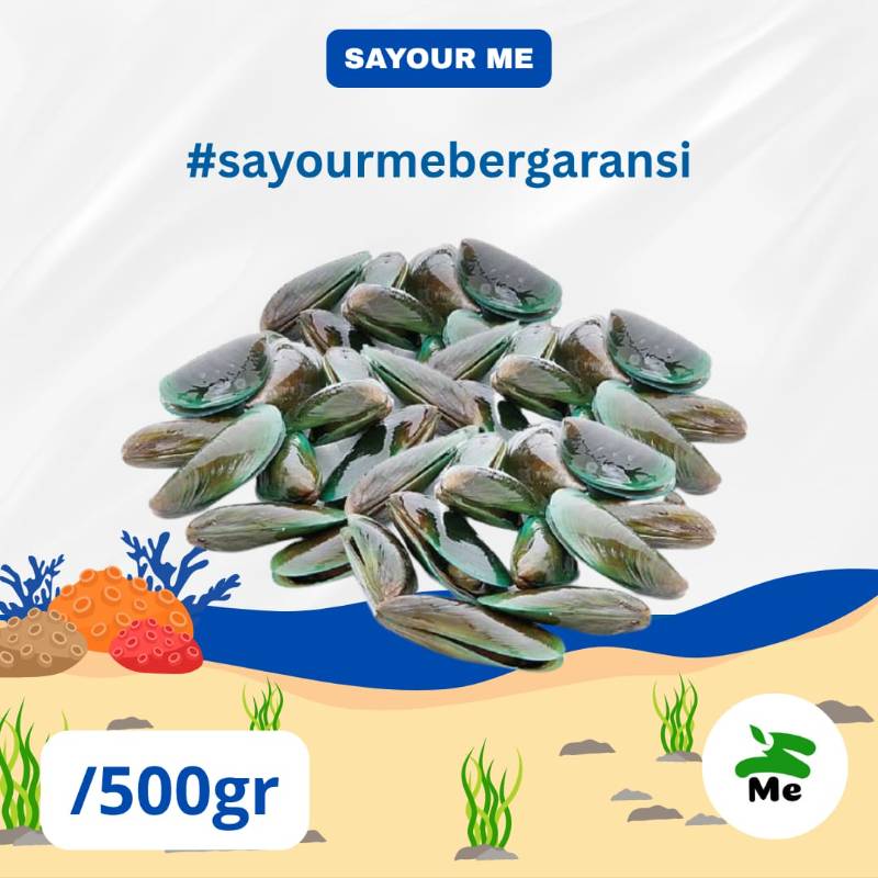 Kerang Hijau [500gr]