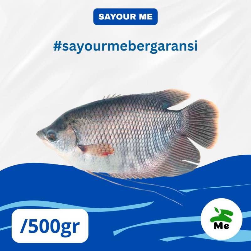 Ikan Gurame [500gr]