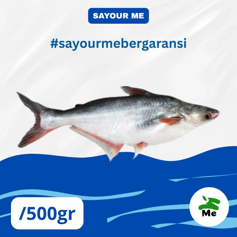 Ikan Patin [500gr]