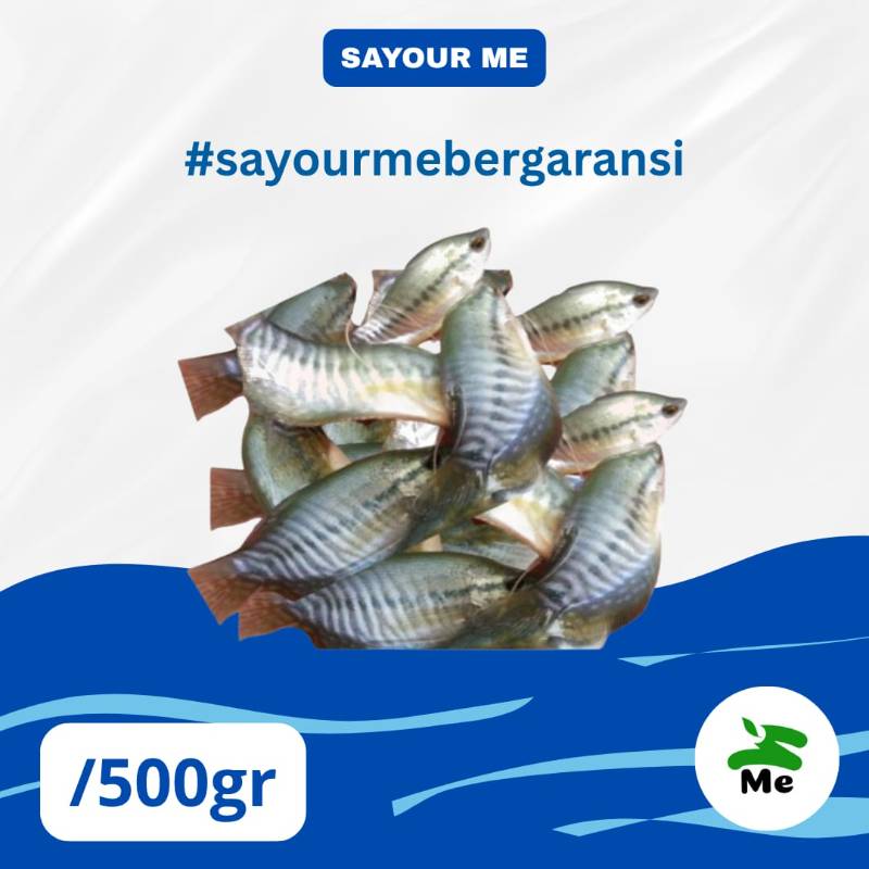 Ikan Sepat [500gr]
