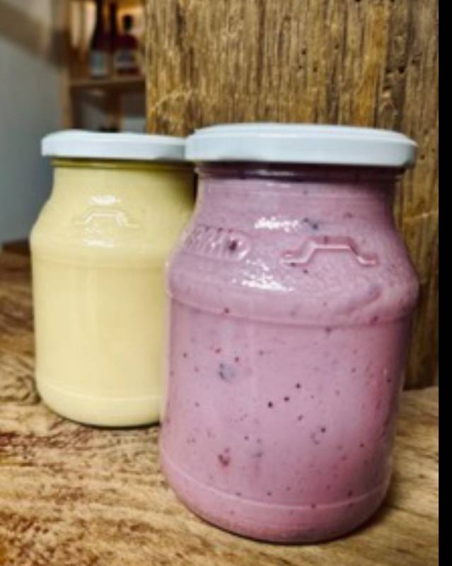 sadni tekoči jogurt gozdni sadeži