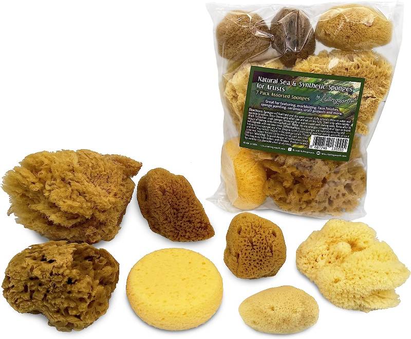 Assorted Natural and Synthetic Sponge Pack